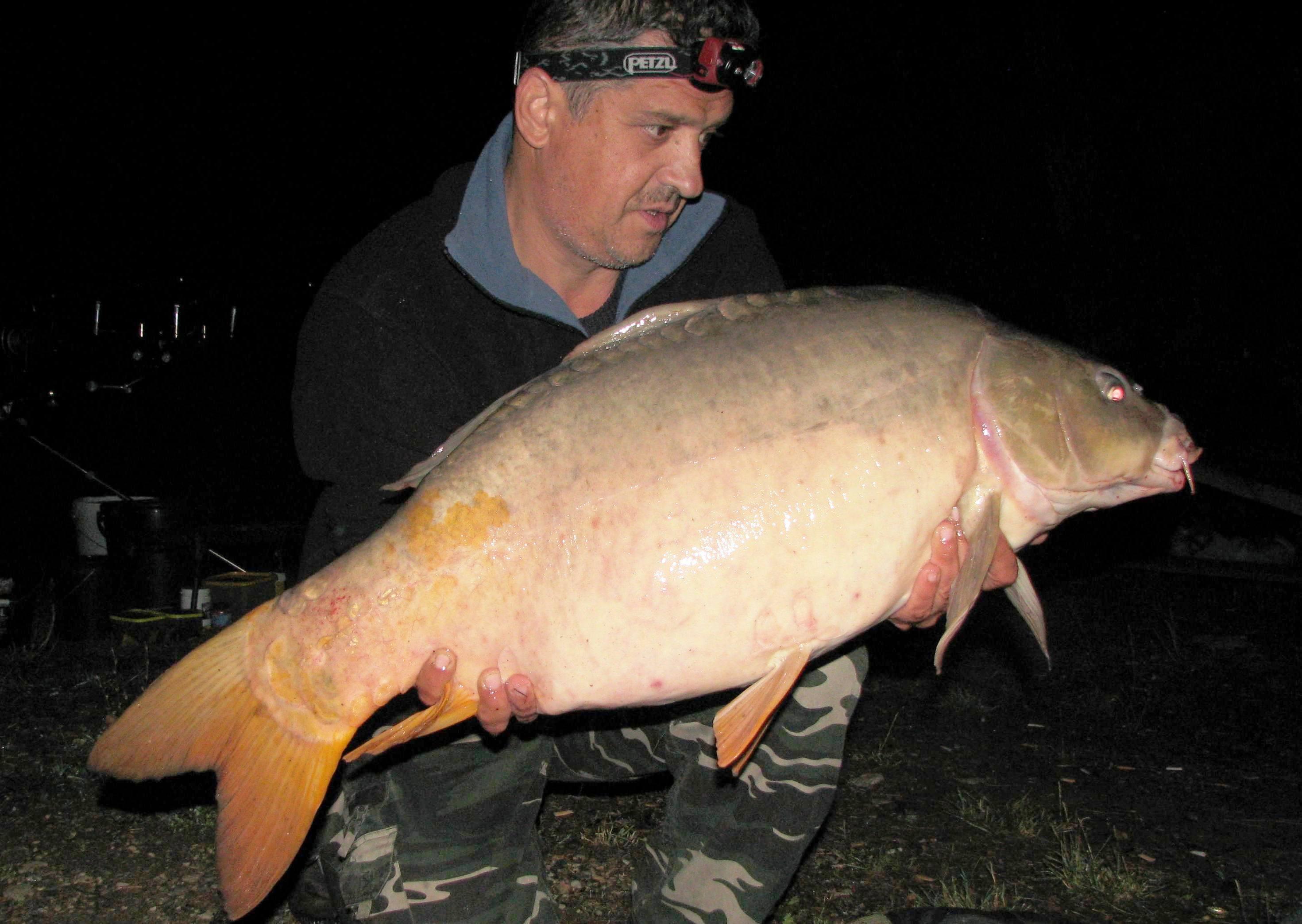 septembrie - octombrie 2012 - IMG_5279.JPG